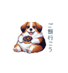 ちょっとぽっちゃりのコーイケルホンディエ（個別スタンプ：29）