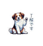 ちょっとぽっちゃりのコーイケルホンディエ（個別スタンプ：30）