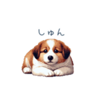 ちょっとぽっちゃりのコーイケルホンディエ（個別スタンプ：32）