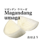 国産玉ねぎ【タガログ語】（個別スタンプ：1）