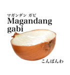 国産玉ねぎ【タガログ語】（個別スタンプ：2）