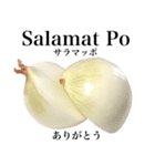 国産玉ねぎ【タガログ語】（個別スタンプ：7）