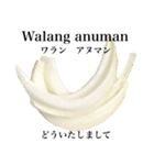 国産玉ねぎ【タガログ語】（個別スタンプ：8）