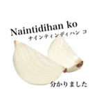 国産玉ねぎ【タガログ語】（個別スタンプ：9）