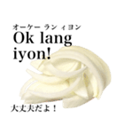 国産玉ねぎ【タガログ語】（個別スタンプ：11）