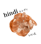 国産玉ねぎ【タガログ語】（個別スタンプ：15）