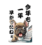 可愛いブリンドルフレブルBIG年末年始（個別スタンプ：4）