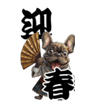 可愛いブリンドルフレブルBIG年末年始（個別スタンプ：5）