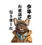 可愛いブリンドルフレブルBIG年末年始（個別スタンプ：6）