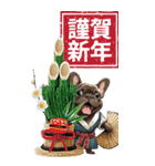 可愛いブリンドルフレブルBIG年末年始（個別スタンプ：10）