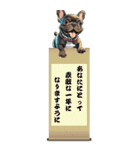 可愛いブリンドルフレブルBIG年末年始（個別スタンプ：11）