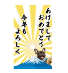 可愛いブリンドルフレブルBIG年末年始（個別スタンプ：16）