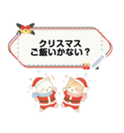 ずっと使える♡冬白虎猫メッセージスタンプ（個別スタンプ：20）