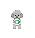 家族で使いやすいトイプードル②（個別スタンプ：3）