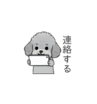 家族で使いやすいトイプードル②（個別スタンプ：6）