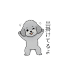 家族で使いやすいトイプードル②（個別スタンプ：7）