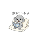 家族で使いやすいトイプードル②（個別スタンプ：8）
