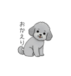 家族で使いやすいトイプードル②（個別スタンプ：9）