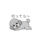 家族で使いやすいトイプードル②（個別スタンプ：12）