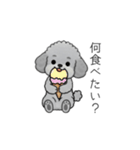 家族で使いやすいトイプードル②（個別スタンプ：14）