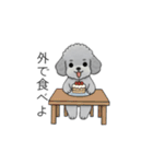 家族で使いやすいトイプードル②（個別スタンプ：16）