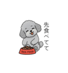 家族で使いやすいトイプードル②（個別スタンプ：17）