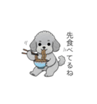 家族で使いやすいトイプードル②（個別スタンプ：18）