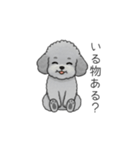 家族で使いやすいトイプードル②（個別スタンプ：19）