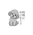 家族で使いやすいトイプードル②（個別スタンプ：21）