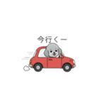 家族で使いやすいトイプードル②（個別スタンプ：22）