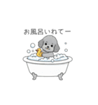 家族で使いやすいトイプードル②（個別スタンプ：25）