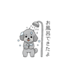 家族で使いやすいトイプードル②（個別スタンプ：26）