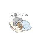 家族で使いやすいトイプードル②（個別スタンプ：27）