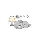 家族で使いやすいトイプードル②（個別スタンプ：28）