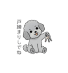 家族で使いやすいトイプードル②（個別スタンプ：37）