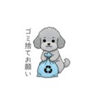 家族で使いやすいトイプードル②（個別スタンプ：38）