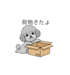家族で使いやすいトイプードル②（個別スタンプ：40）