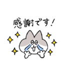 敬語＆挨拶なハチワレ猫（個別スタンプ：21）