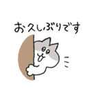 敬語＆挨拶なハチワレ猫（個別スタンプ：24）