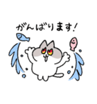 敬語＆挨拶なハチワレ猫（個別スタンプ：35）