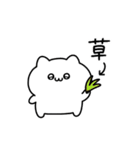 ◯ばぶいねこ4◯（個別スタンプ：19）