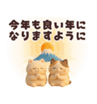 【冬】もち猫のクリスマス〜お正月（個別スタンプ：24）