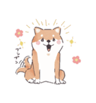 のんびりきままなシバ犬（個別スタンプ：1）