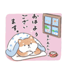 のんびりきままなシバ犬（個別スタンプ：3）