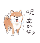 のんびりきままなシバ犬（個別スタンプ：6）