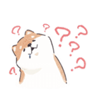 のんびりきままなシバ犬（個別スタンプ：8）