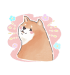 のんびりきままなシバ犬（個別スタンプ：9）