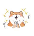 のんびりきままなシバ犬（個別スタンプ：10）