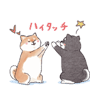 のんびりきままなシバ犬（個別スタンプ：11）