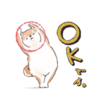 のんびりきままなシバ犬（個別スタンプ：13）